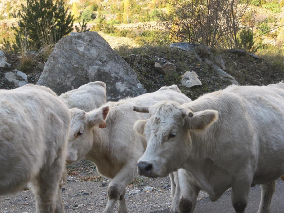 Casa Rural Borda Marianet Cerler Dış mekan fotoğraf