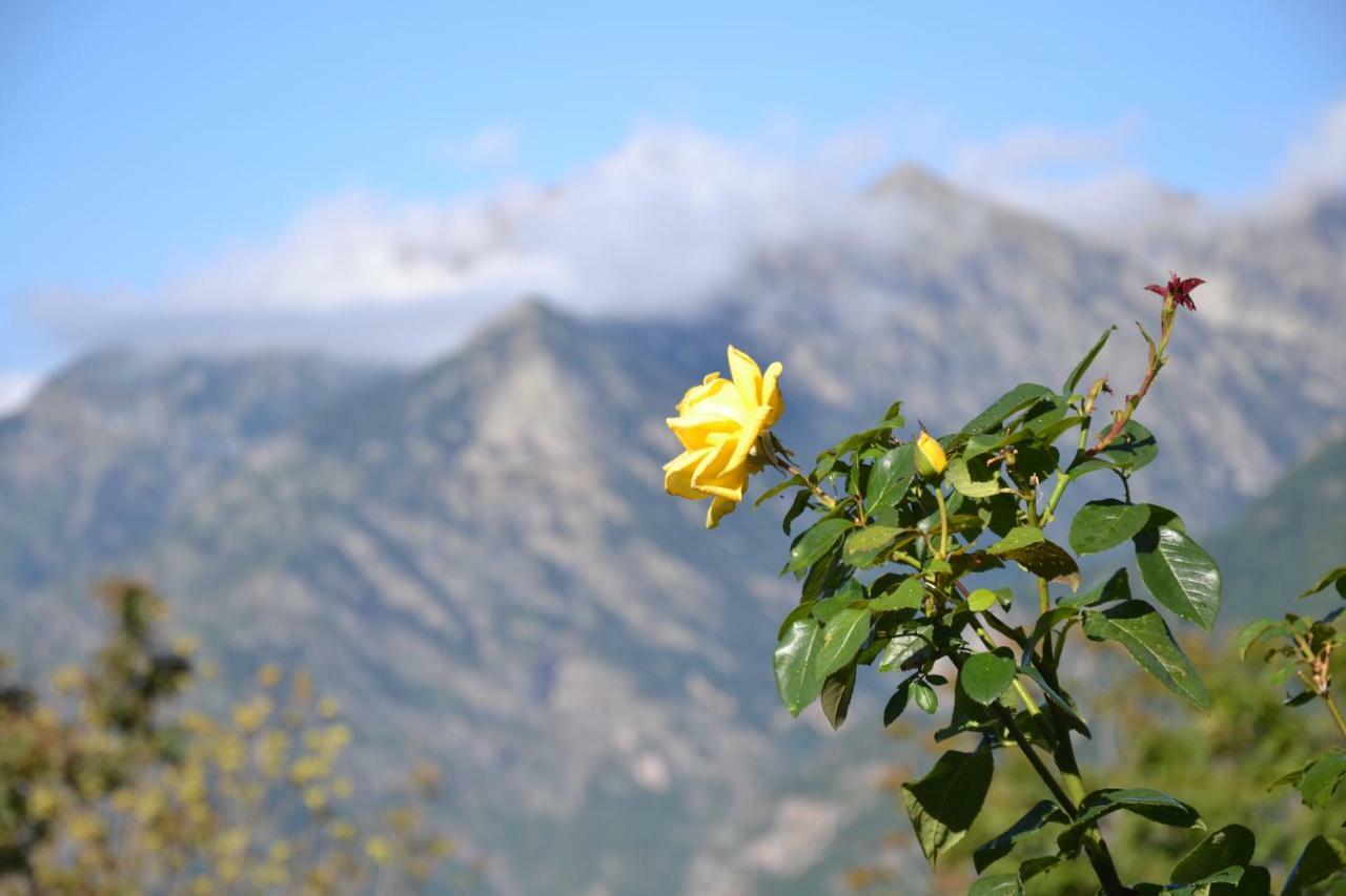 Casa Rural Borda Marianet Cerler Dış mekan fotoğraf